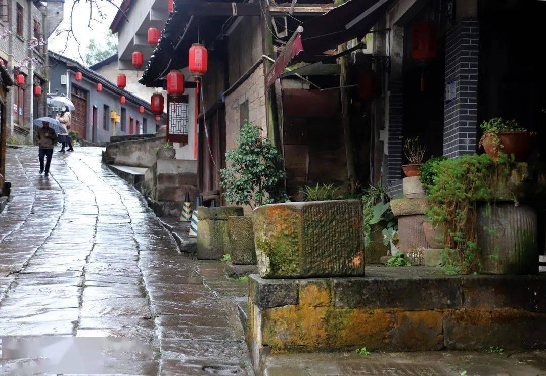 意想不到的旅程